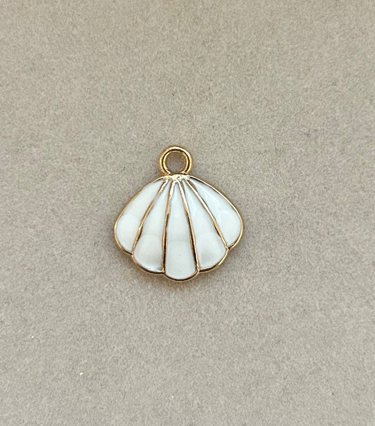 White Seashell