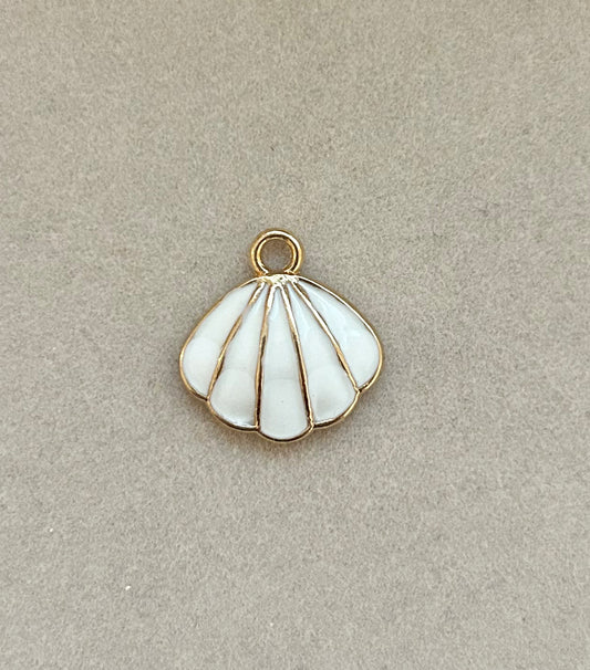 White Seashell